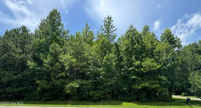 $66,000 | 263 Whites Crossing Lane, Whiteville, NC 28472