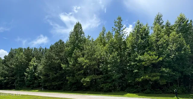 $66,000 | 263 Whites Crossing Lane, Whiteville, NC 28472