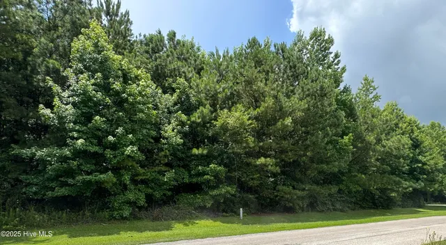 $66,000 | 263 Whites Crossing Lane, Whiteville, NC 28472