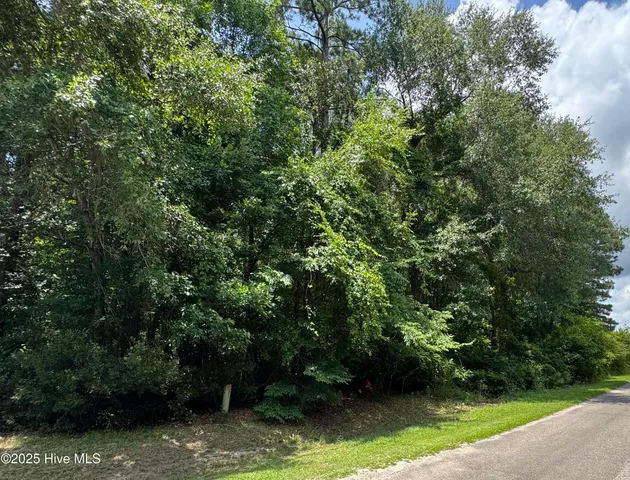 $66,000 | 263 Whites Crossing Lane, Whiteville, NC 28472