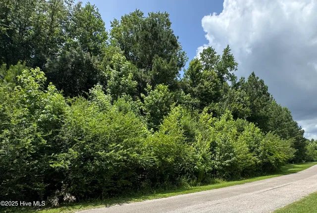 $66,000 | 263 Whites Crossing Lane, Whiteville, NC 28472