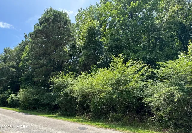 $66,000 | 263 Whites Crossing Lane, Whiteville, NC 28472