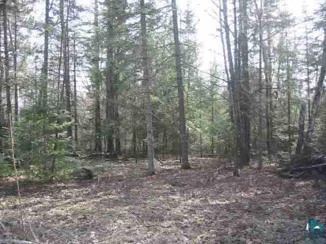 Xxx County Rd P Poplar, WI 54864 - Photo 3 of 4