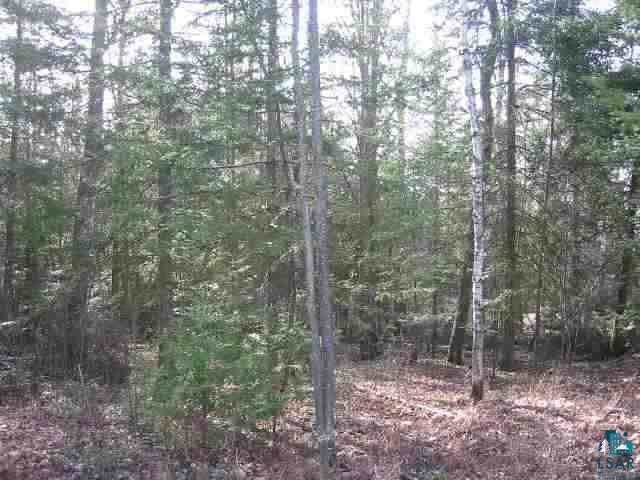 Xxx County Rd P Poplar, WI 54864 - Photo 4 of 4
