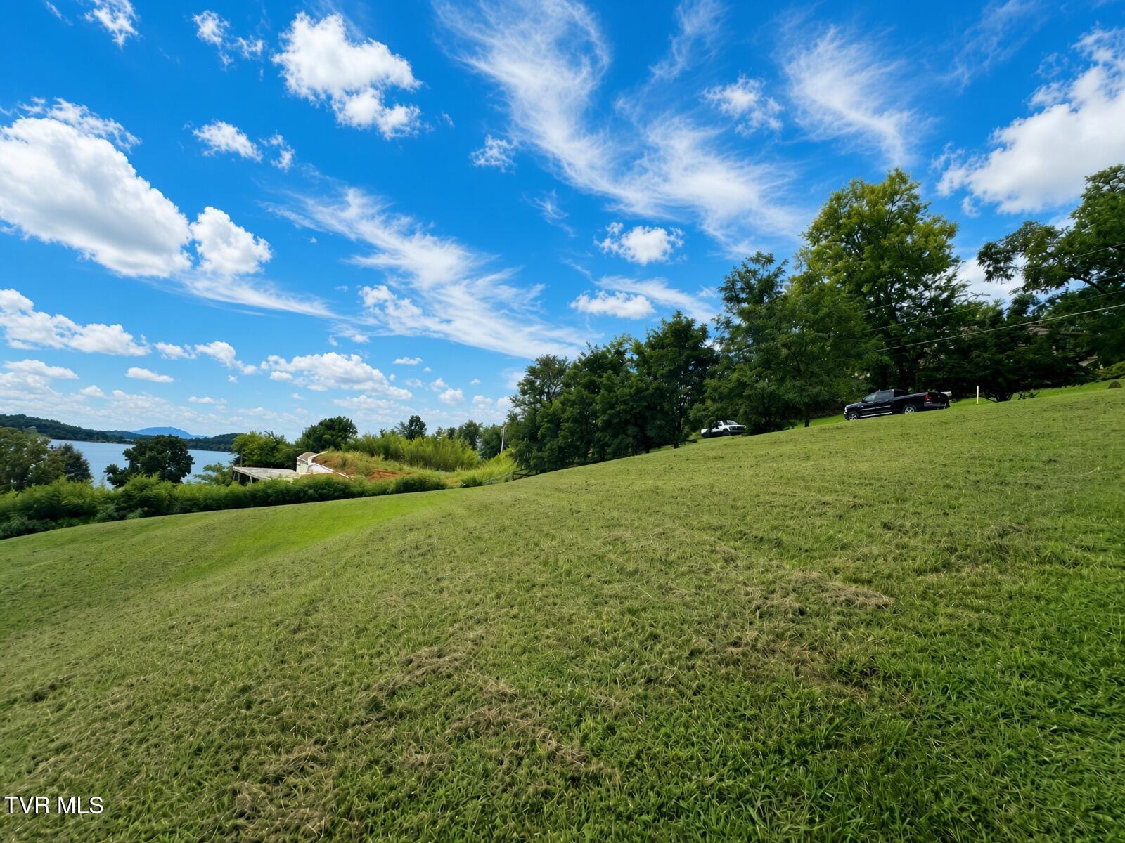 Lot 20 Trotline Road, Unit 2 Dandridge, TN 37725 - Photo 4 of 25 2 (3)
