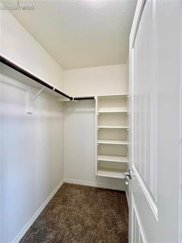 6146 Pilgrimage Road Colorado Springs, CO 80925 - Photo 25 of 45 Walk-in Closet