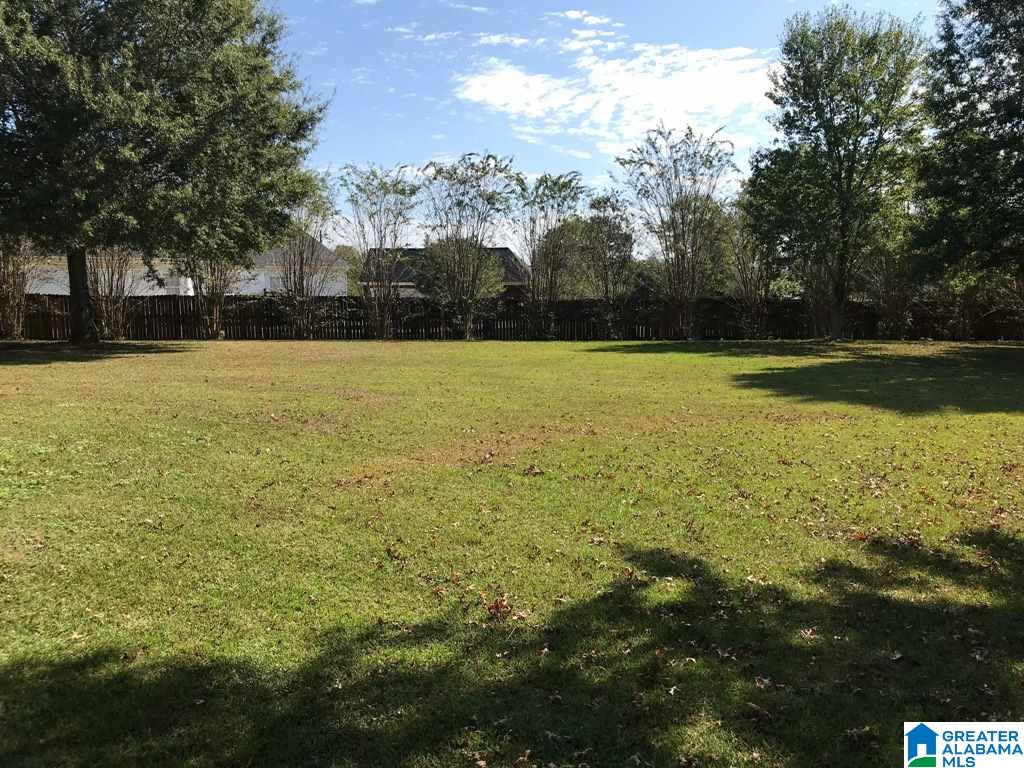112 Ridgeview Drive Alexandria, AL 36250 - Photo 41 of 46 Gallery Image 41