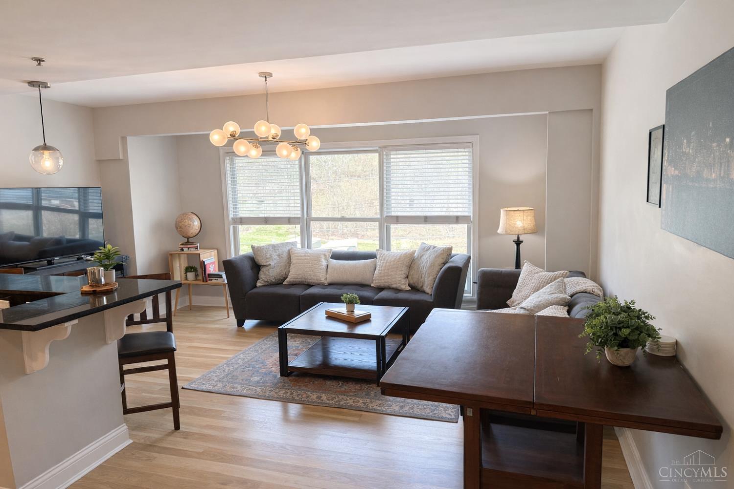 2235 Riverside Drive, Unit 306 Cincinnati, OH 45202 - Photo 6 of 59