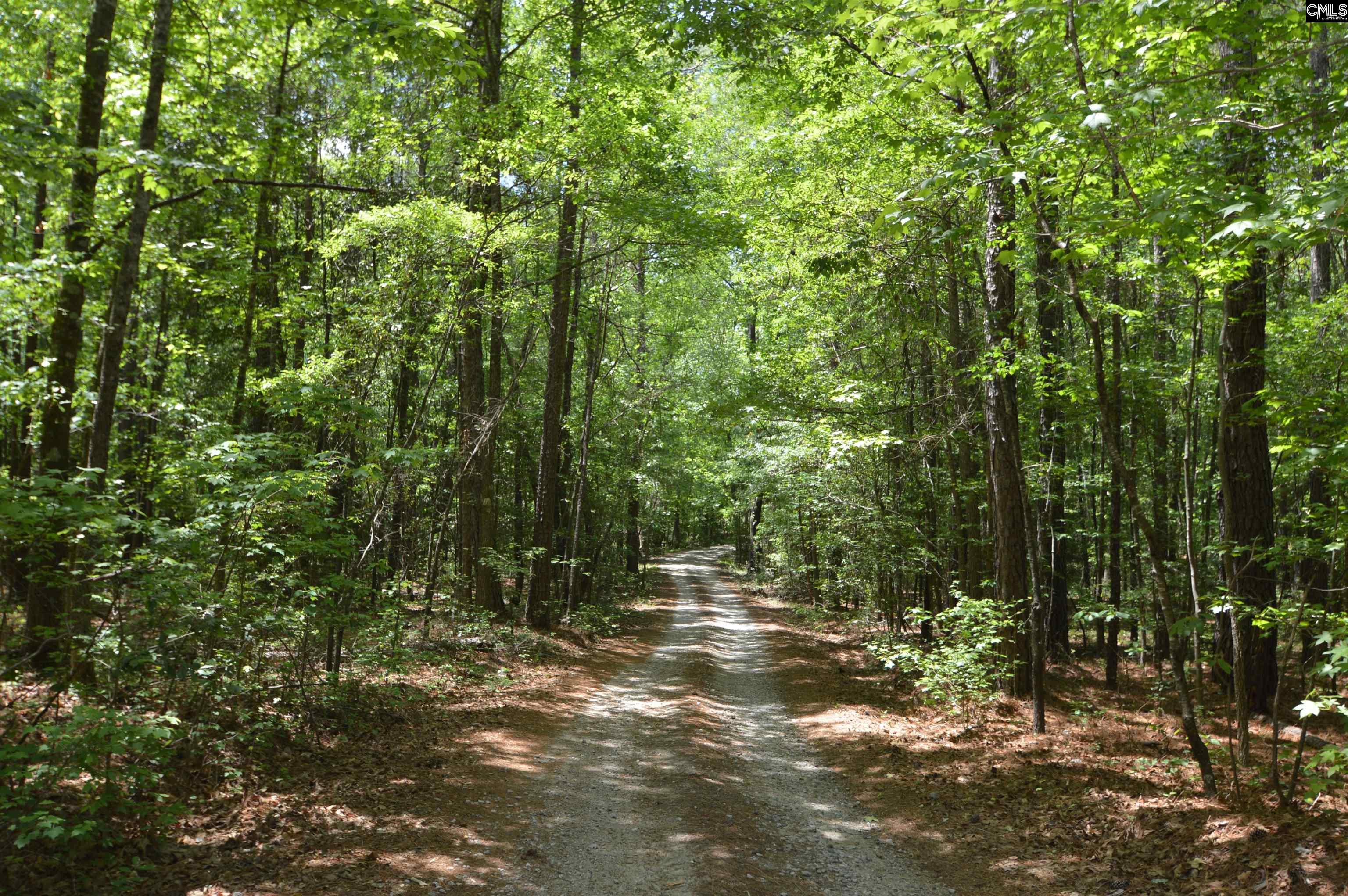 388 State Rd S-28-101 Elgin, SC 29045 - Photo 12 of 55
