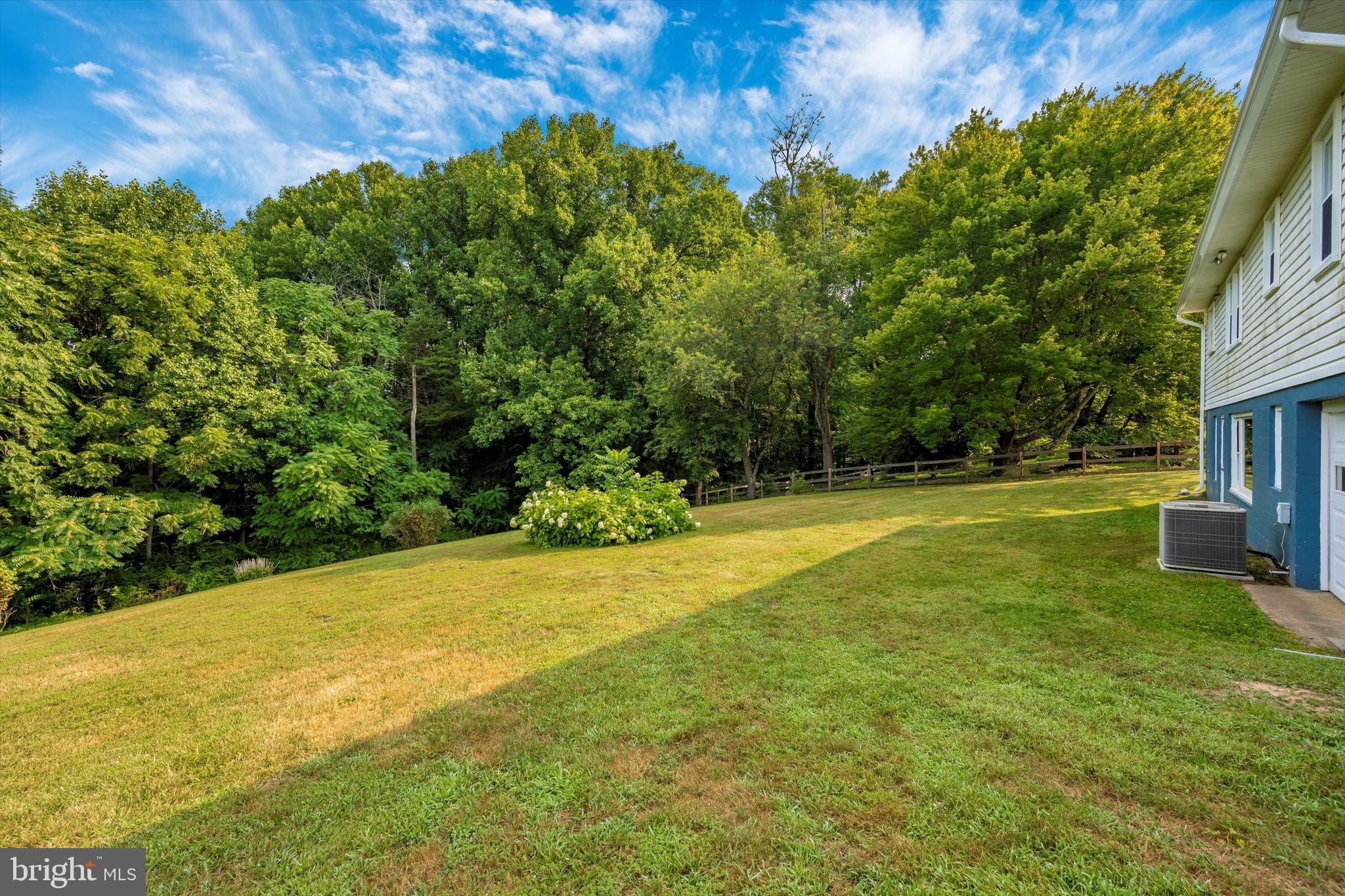 13530 Penn Shop Road Mount Airy, MD 21771 - Photo 6 of 31 Back Yard Privacy