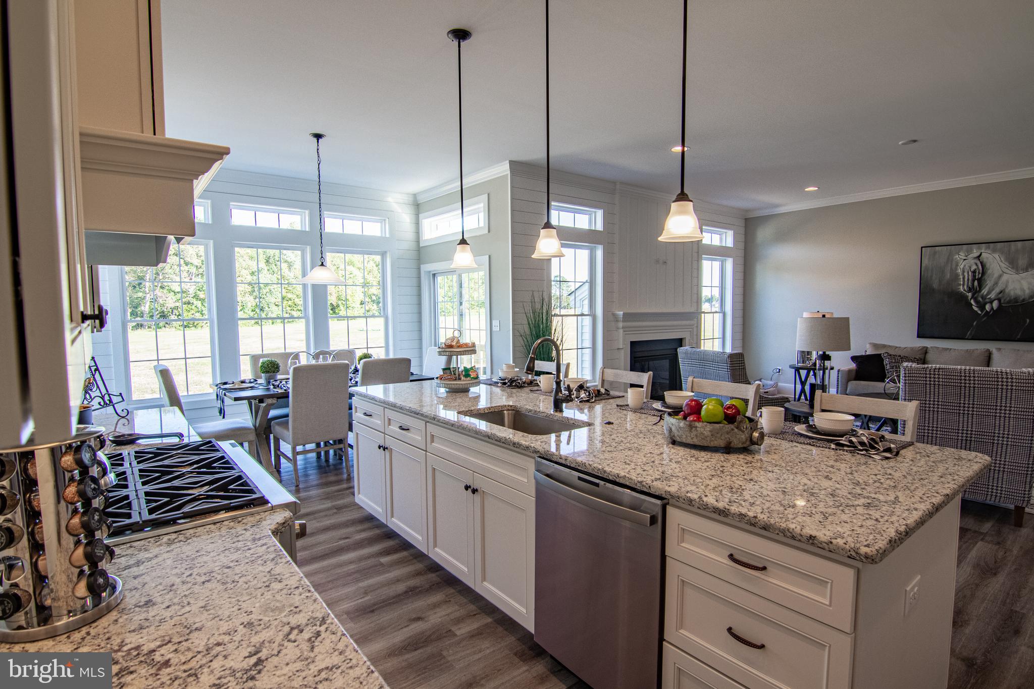 21573 Waterview Road Lewes, DE 19958 - Photo 11 of 46