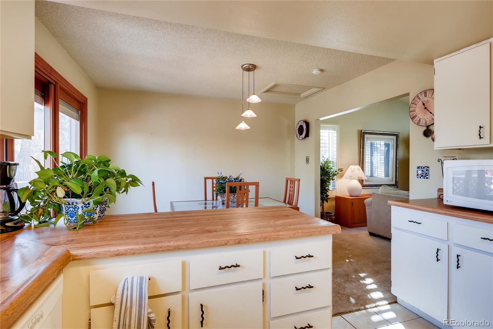 211 Quail Ridge Circle Highlands Ranch, CO 80126 - Photo 6 of 23 Gallery Image 6