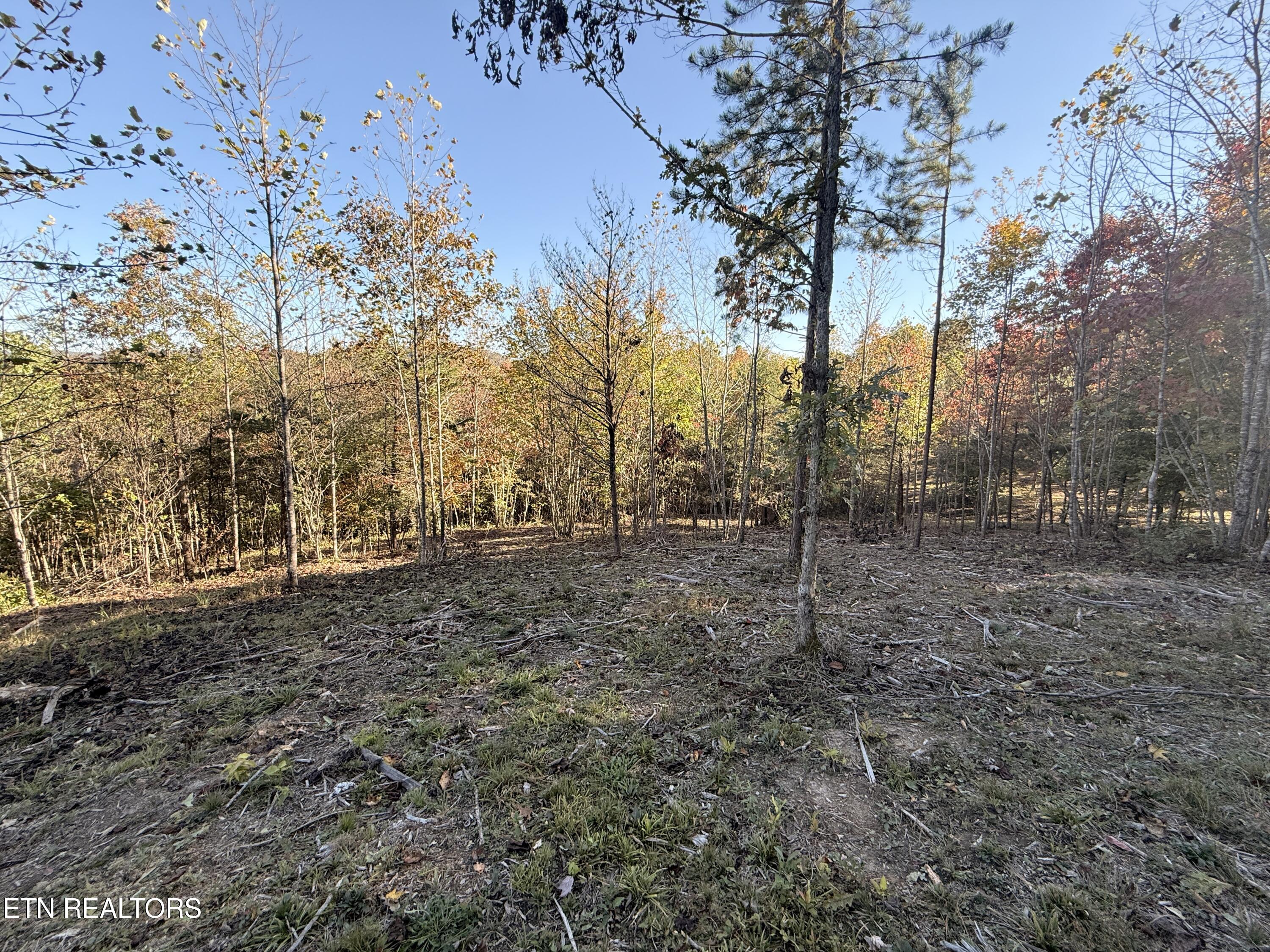 444 Roses Creek Road Clairfield, TN 37715 - Photo 37 of 48 Lower Property