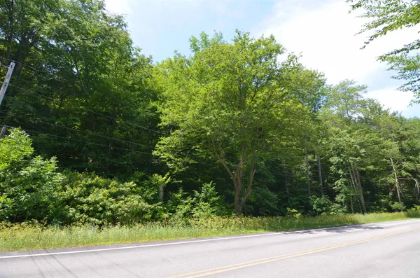 $20,000 | 1336 Route 100 Plymouth Vt 05056, Plymouth, VT 05056