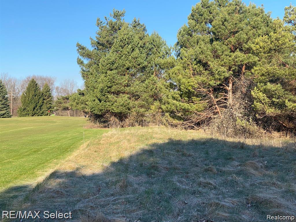 0 Weeden Road Caro, MI 48723 - Photo 7 of 11