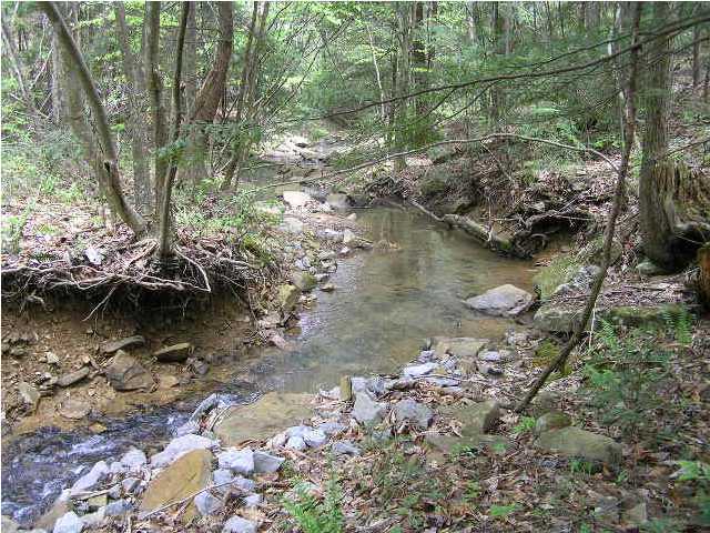 12 Young Road Soddy Daisy, TN 37379 - Photo 2 of 9 Additional Photo