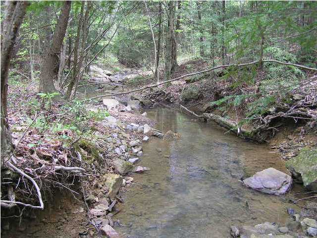 12 Young Road Soddy Daisy, TN 37379 - Photo 3 of 9 Additional Photo
