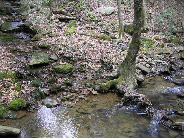 12 Young Road Soddy Daisy, TN 37379 - Photo 4 of 9 Additional Photo
