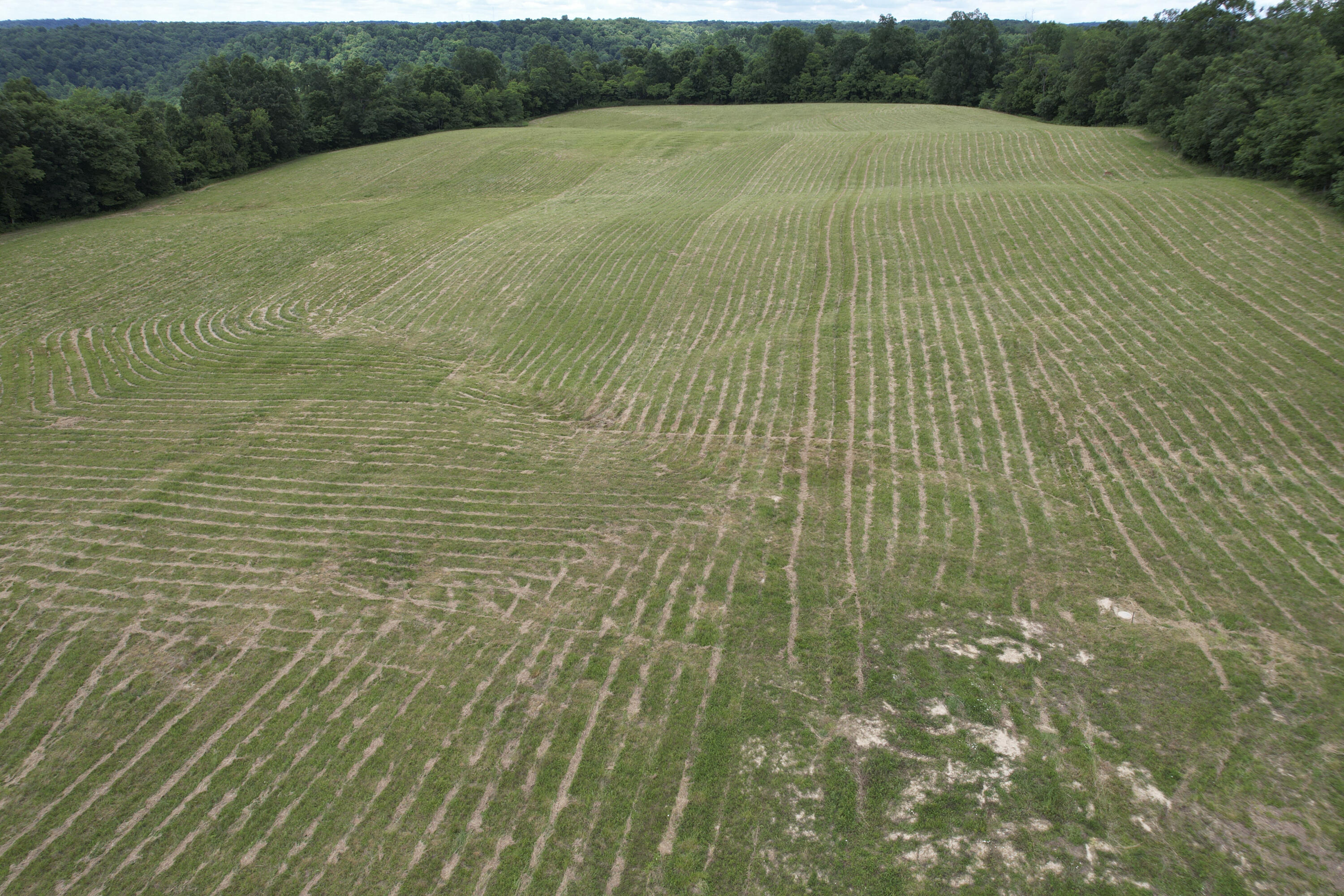 Tbd Tbd Mcroberts Road Wallingford, KY 41093 - Photo 11 of 16 DJI_0014