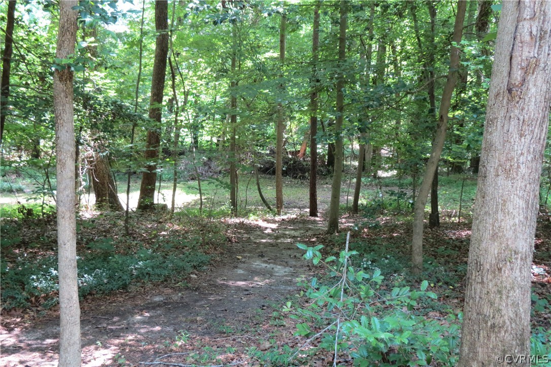 7519 Barkbridge Road Chesterfield, VA 23832 - Photo 33 of 40 a backyard of a house with lots of green space
