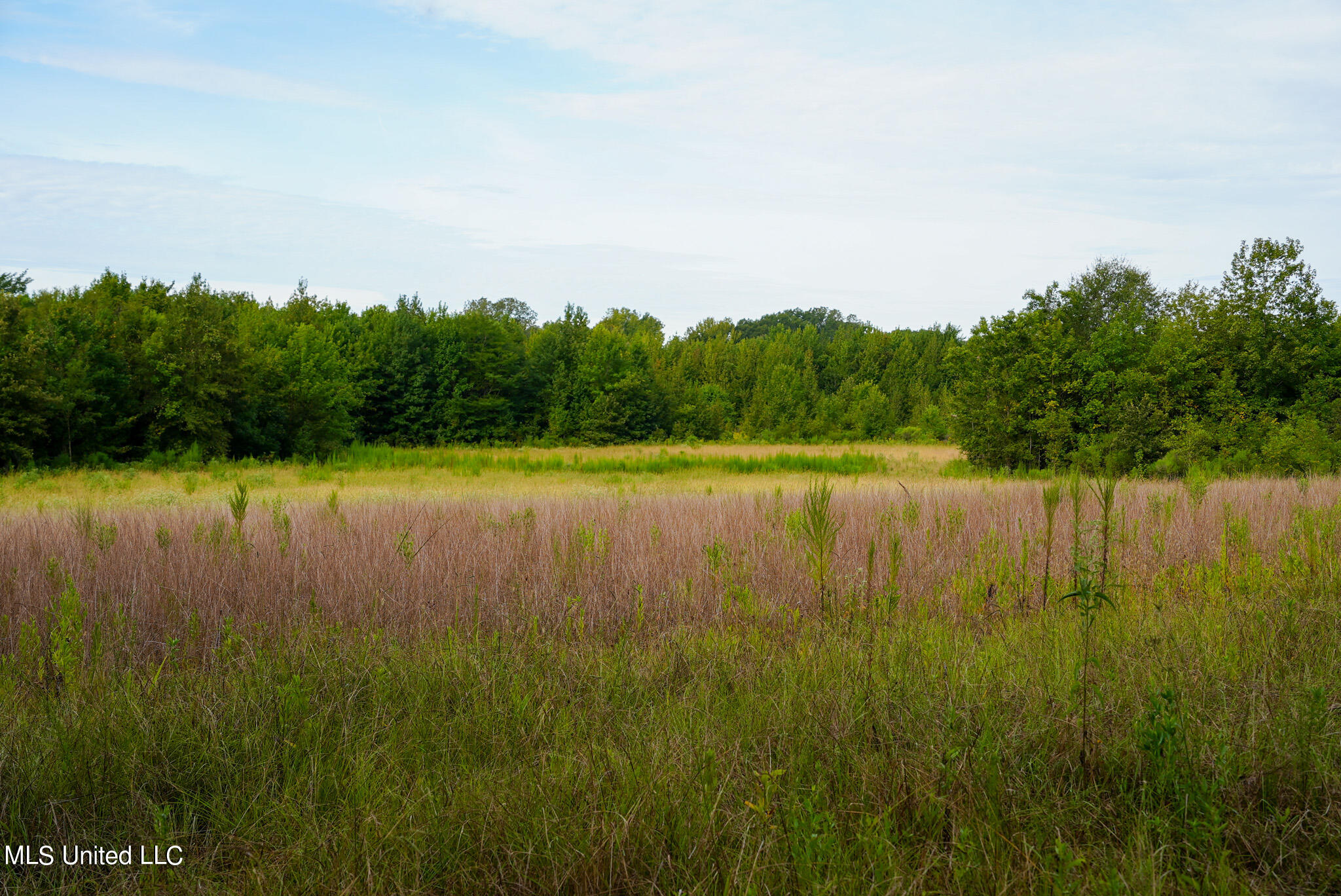 1066 Old Yazoo City Road Canton, MS 39046 - Photo 11 of 57 DSC00866