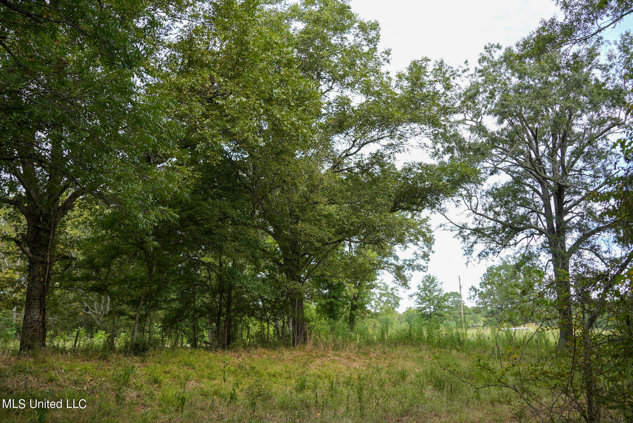 1066 Old Yazoo City Road Canton, MS 39046 - Photo 15 of 57 DSC00882