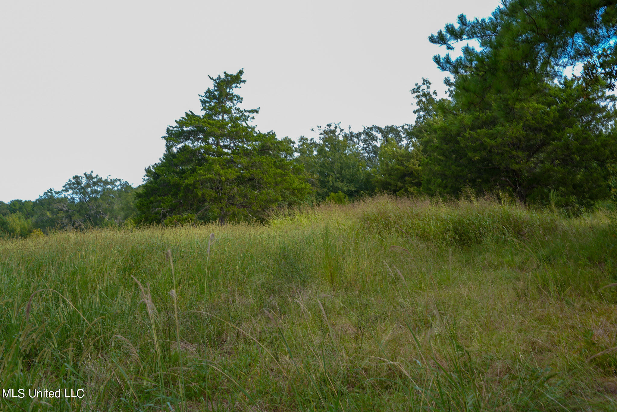 1066 Old Yazoo City Road Canton, MS 39046 - Photo 24 of 57 DSC00841