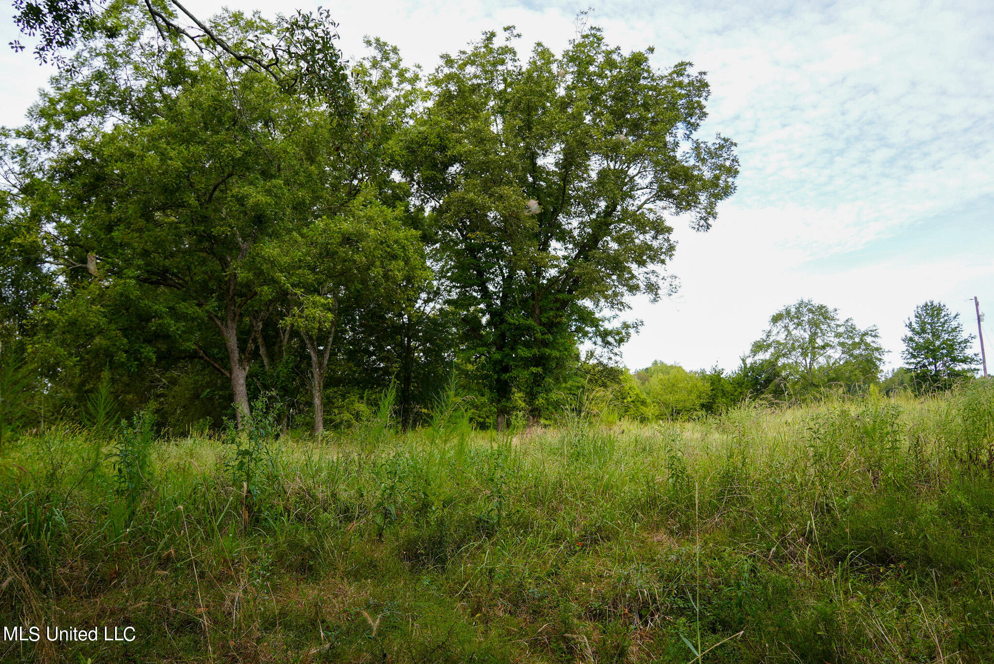 1066 Old Yazoo City Road Canton, MS 39046 - Photo 25 of 57 DSC00885