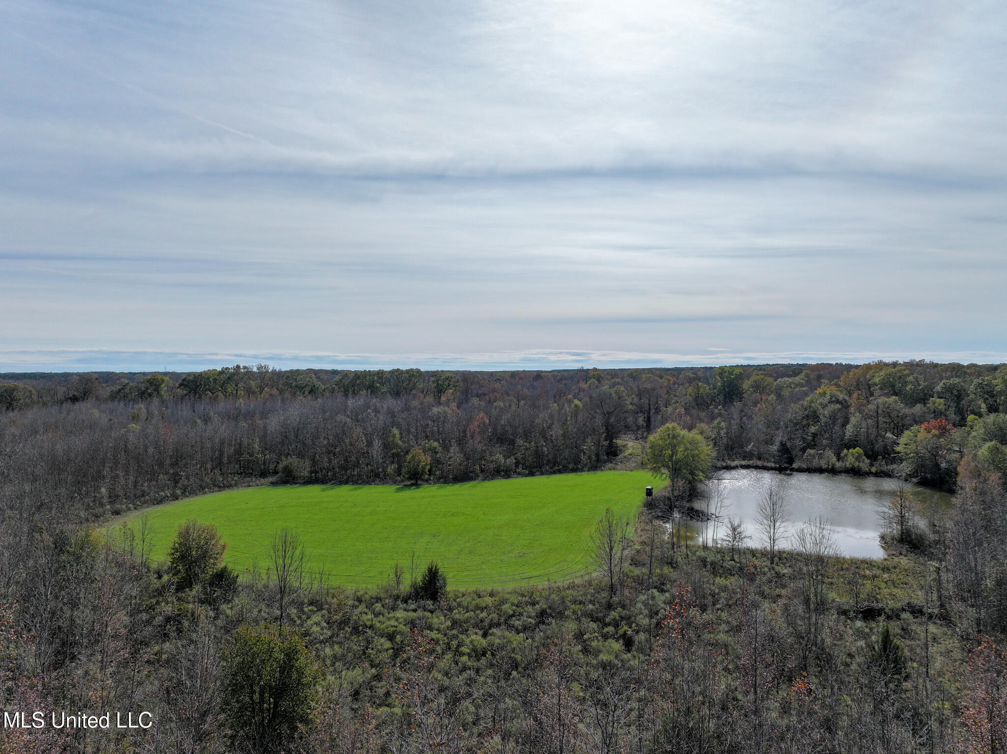 1066 Old Yazoo City Road Canton, MS 39046 - Photo 3 of 57 DJI_20241205123555_0001_D