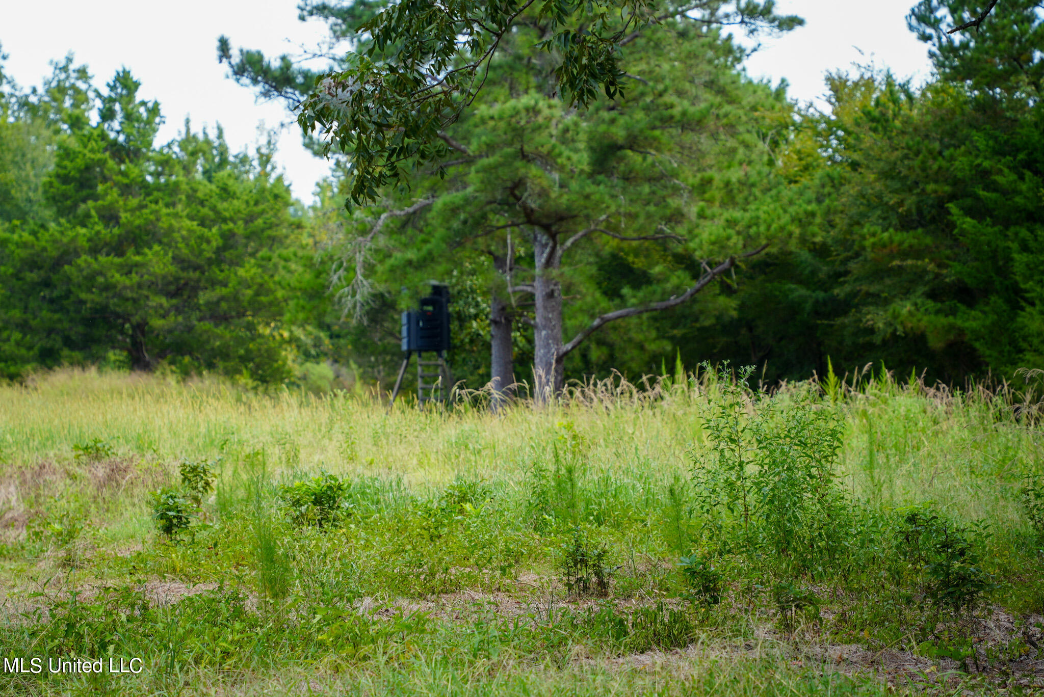 1066 Old Yazoo City Road Canton, MS 39046 - Photo 31 of 57 DSC00872