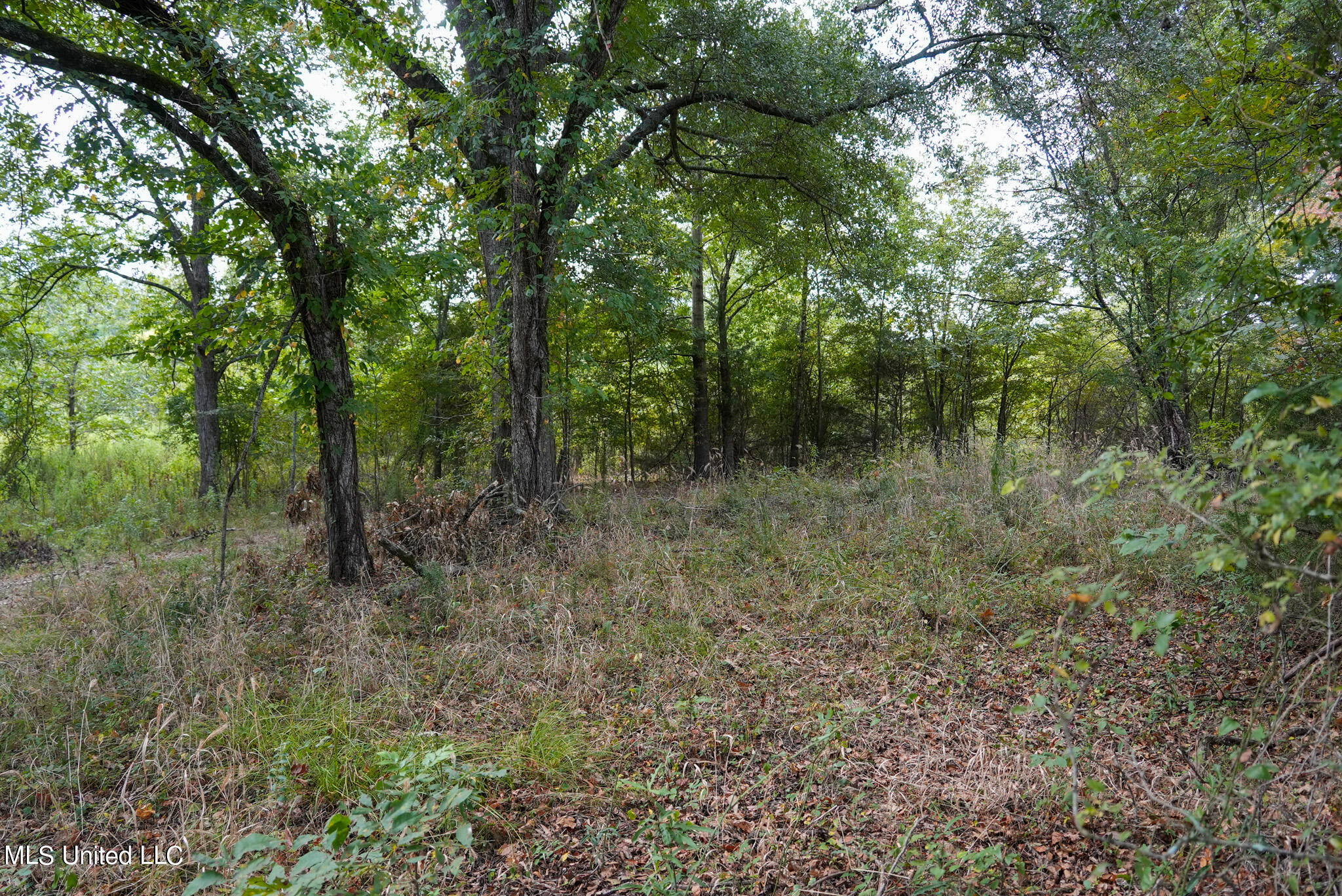 1066 Old Yazoo City Road Canton, MS 39046 - Photo 33 of 57 DSC00874