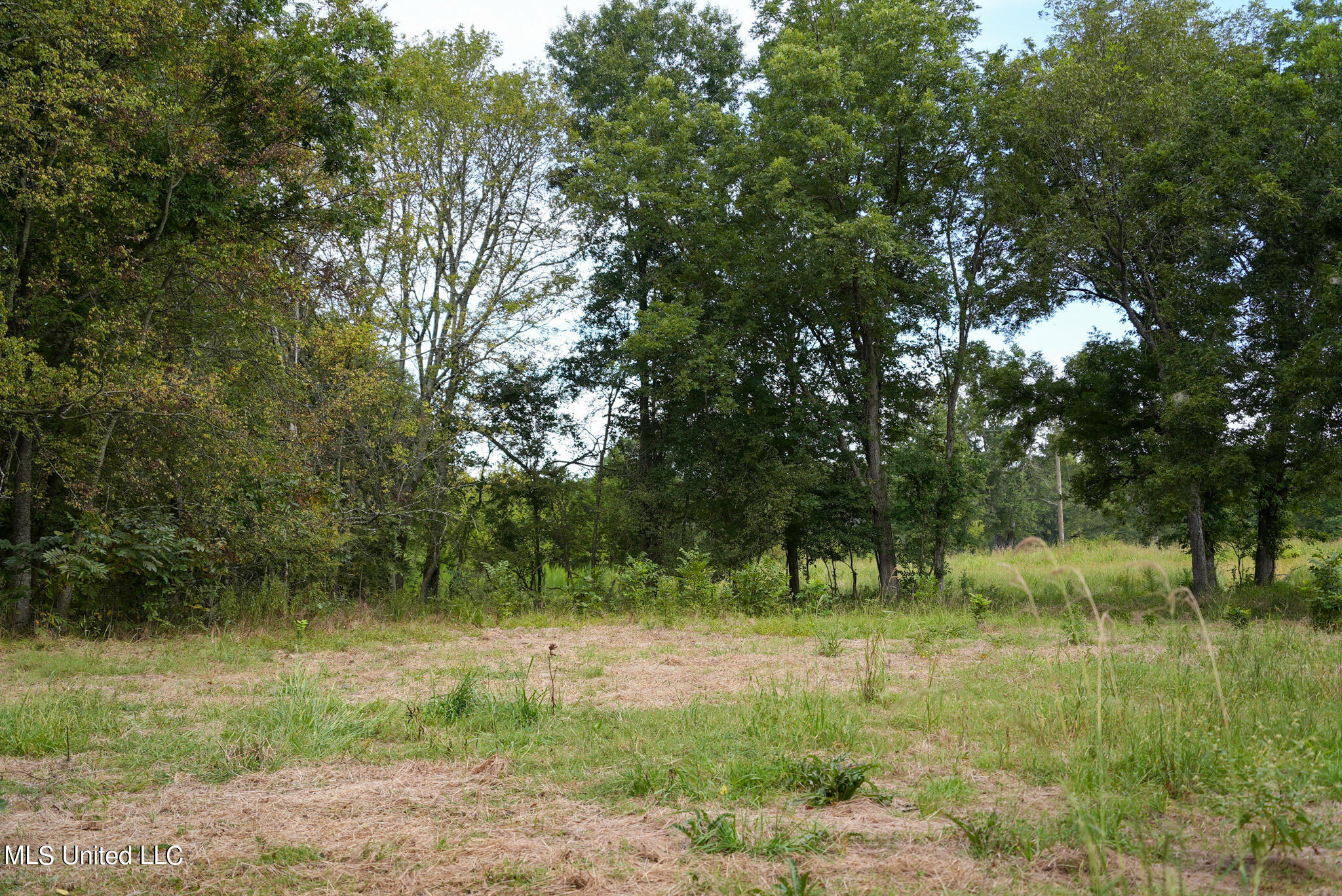 1066 Old Yazoo City Road Canton, MS 39046 - Photo 36 of 57 DSC00869
