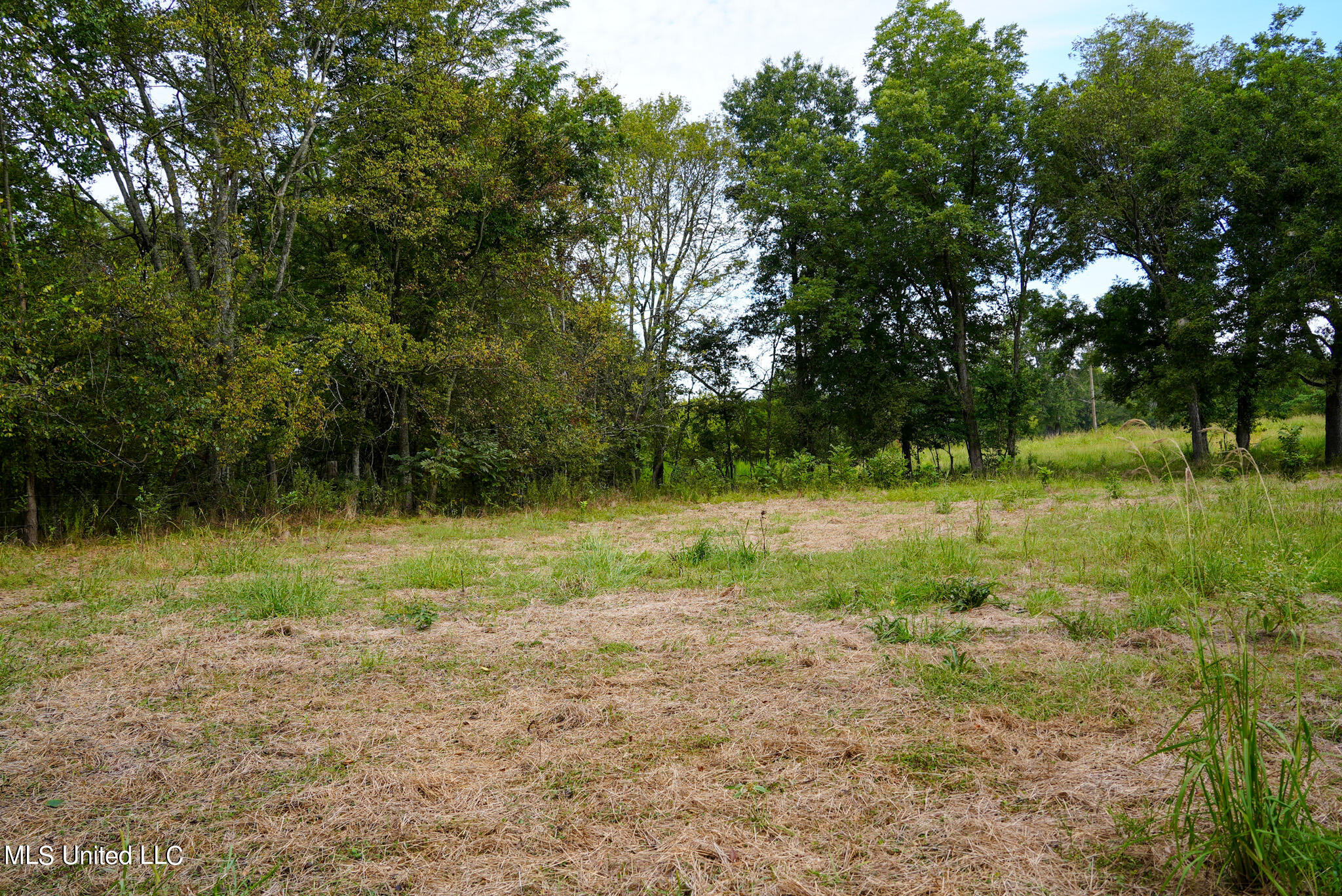 1066 Old Yazoo City Road Canton, MS 39046 - Photo 39 of 57 DSC00868