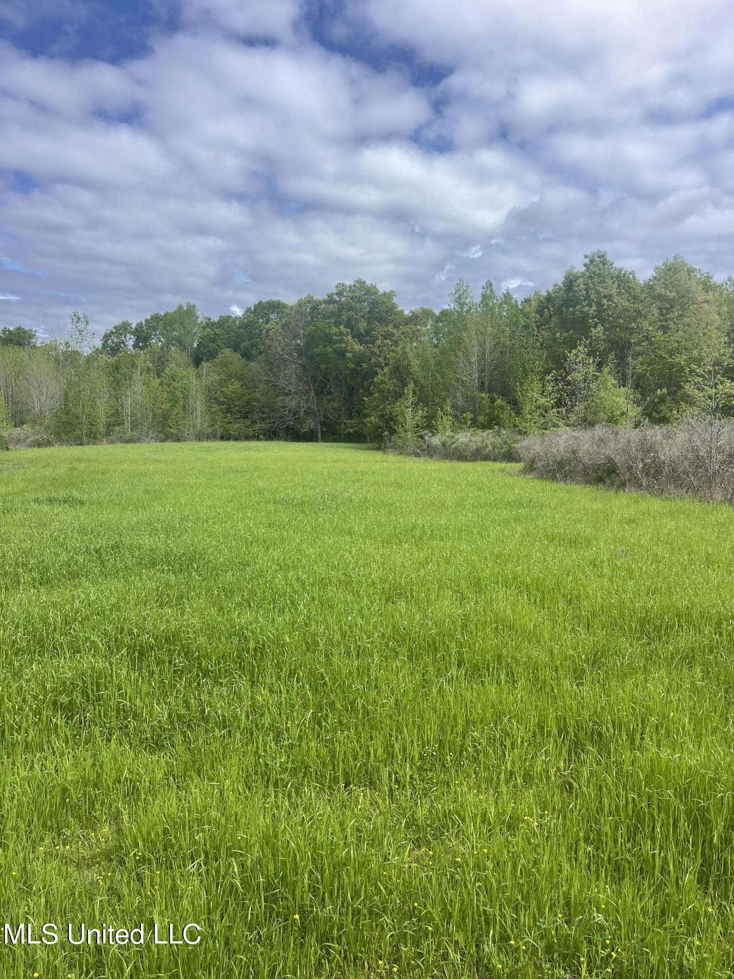 1066 Old Yazoo City Road Canton, MS 39046 - Photo 46 of 57 IMG_3009