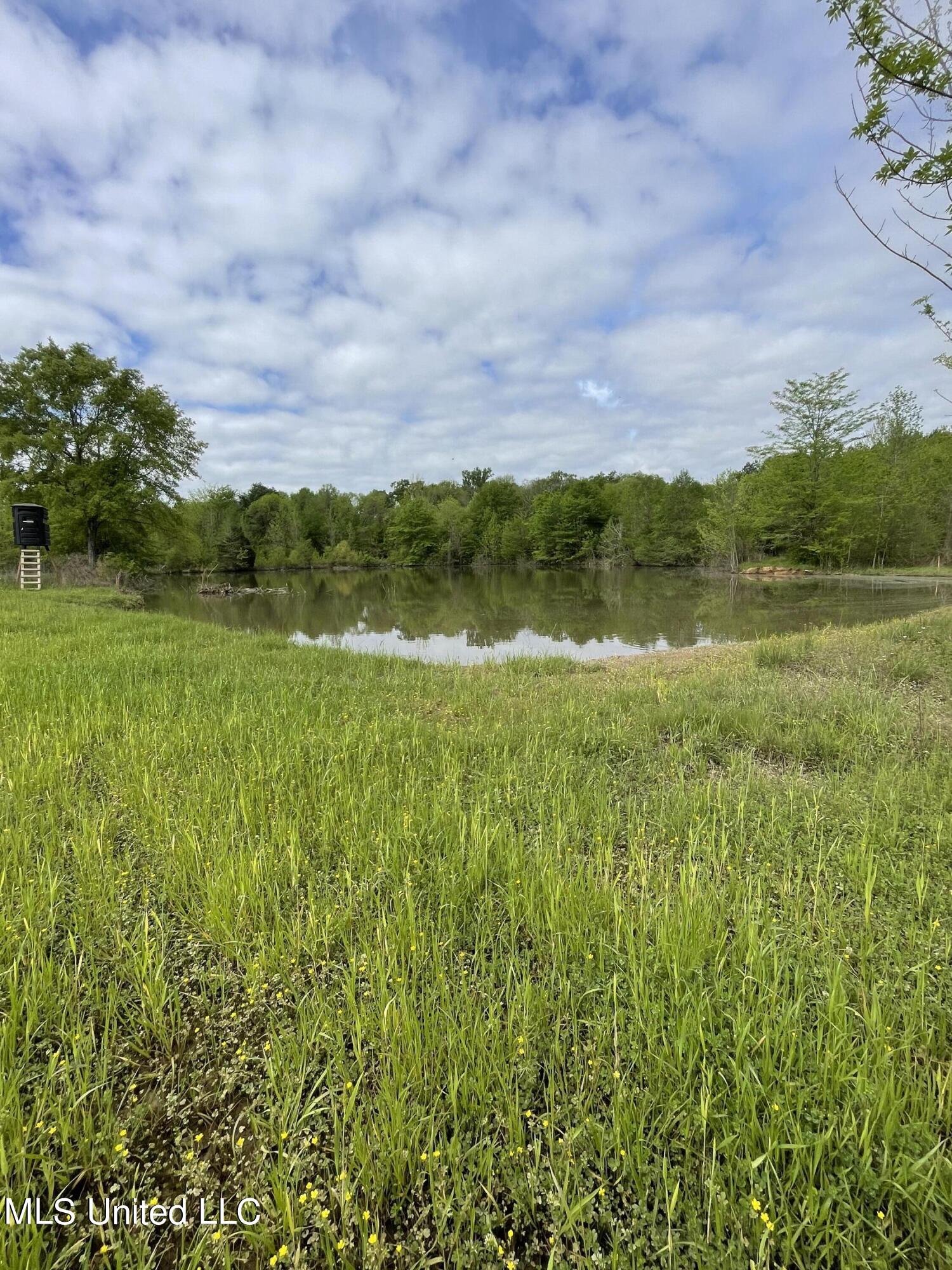1066 Old Yazoo City Road Canton, MS 39046 - Photo 50 of 57 IMG_2990