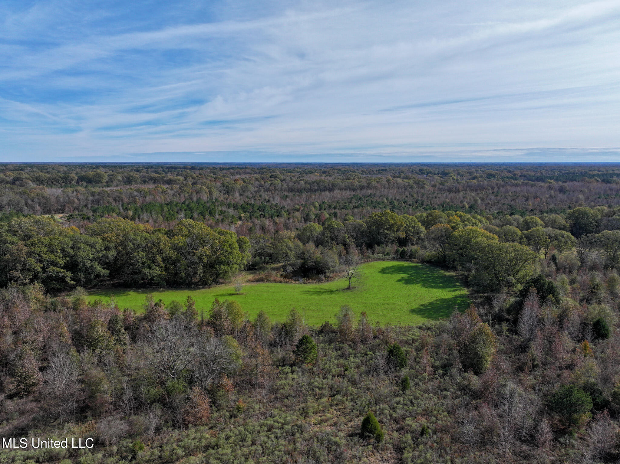 1066 Old Yazoo City Road Canton, MS 39046 - Photo 5 of 57 DJI_20241205123950_0009_D