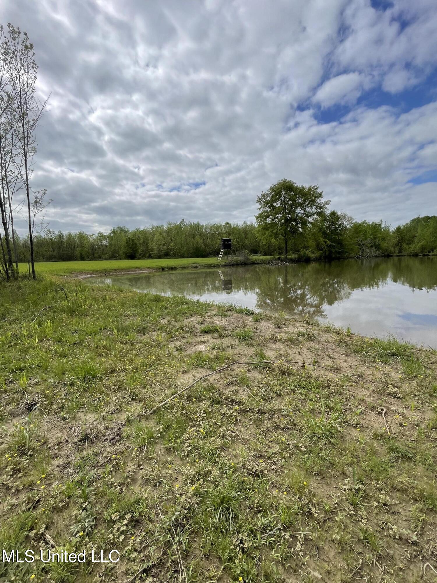 1066 Old Yazoo City Road Canton, MS 39046 - Photo 54 of 57 IMG_2991