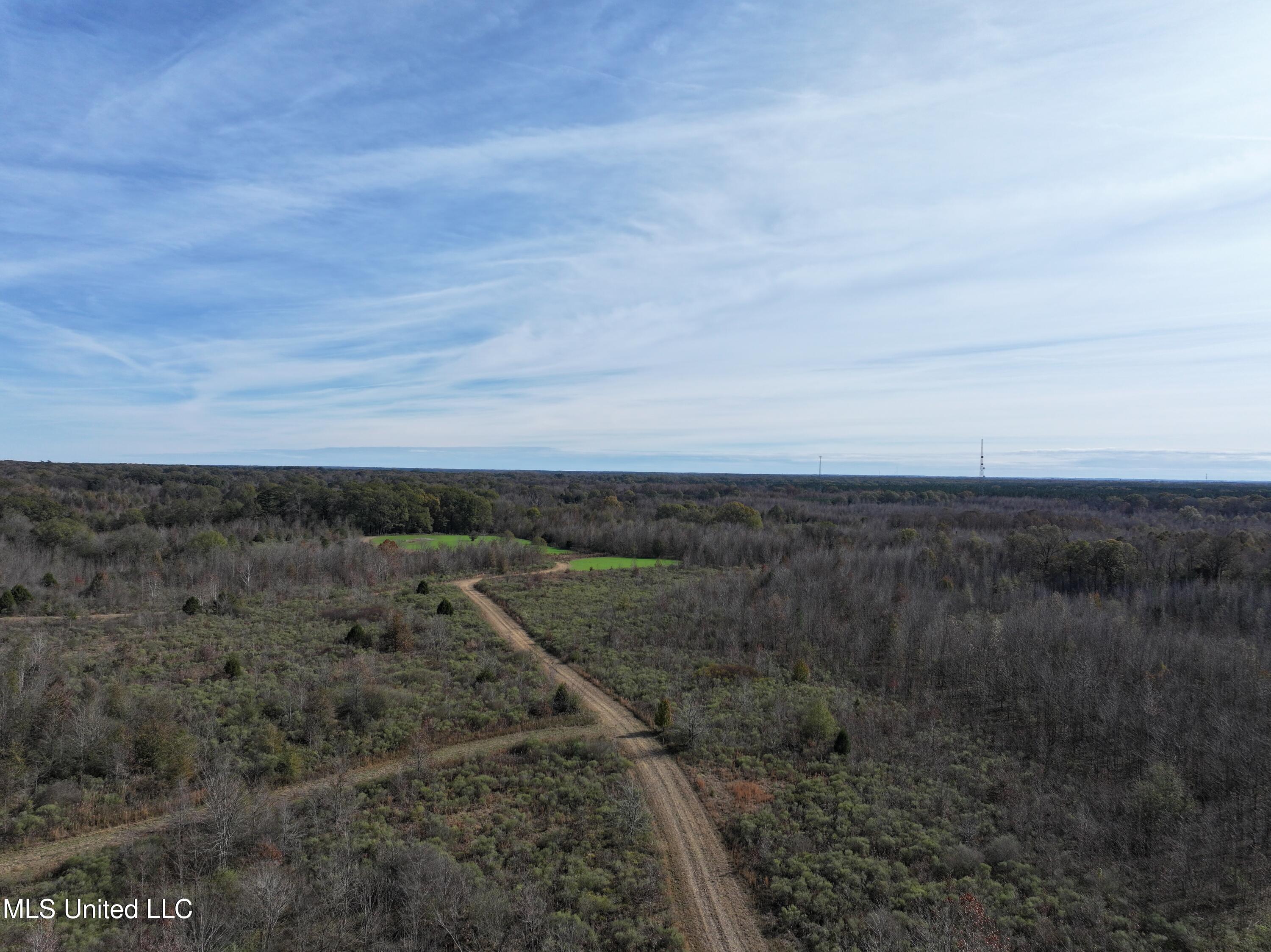 1066 Old Yazoo City Road Canton, MS 39046 - Photo 7 of 57 DJI_20241205123622_0003_D