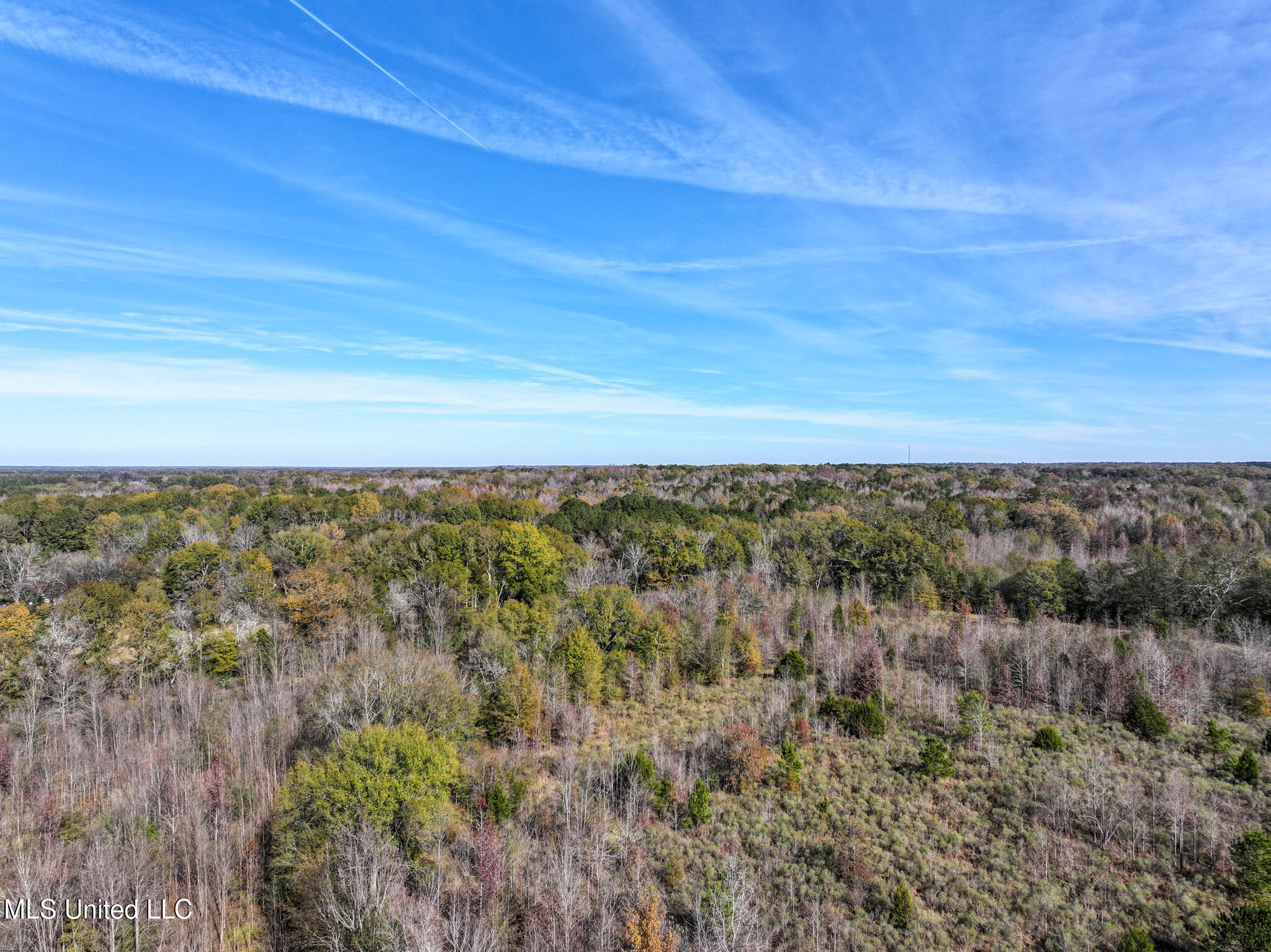 1066 Old Yazoo City Road Canton, MS 39046 - Photo 8 of 57 DJI_20241205123715_0005_D