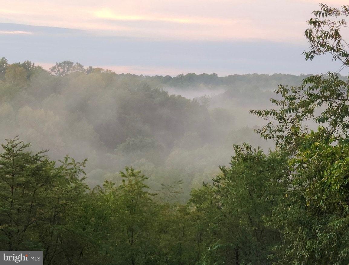 12340 Kingsley Road Clarksburg, MD 20871 - Photo 17 of 19 Morning views off the front porch