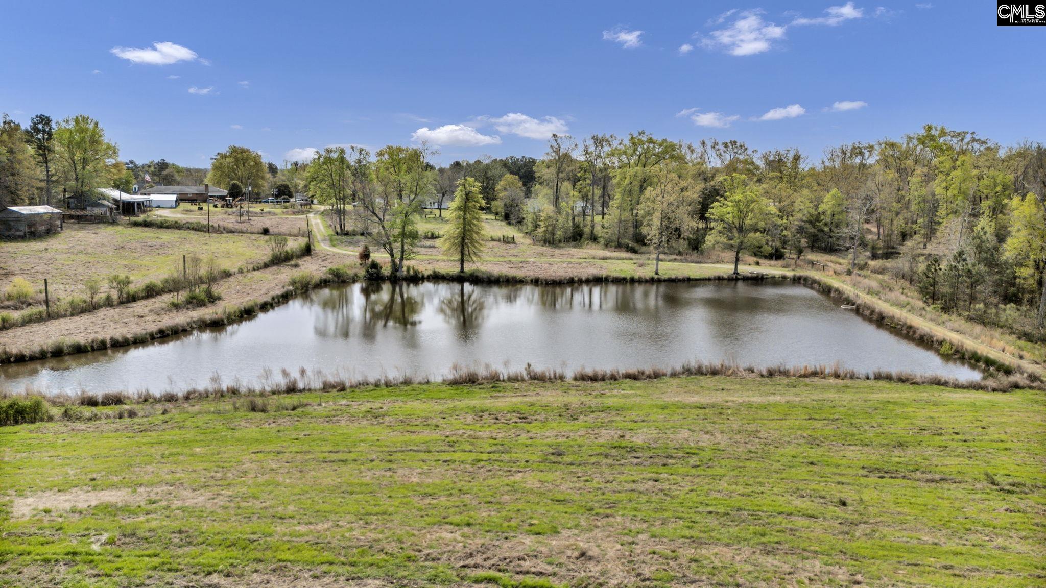 421-0 Shore Road Gilbert, SC 29054 - Photo 12 of 57