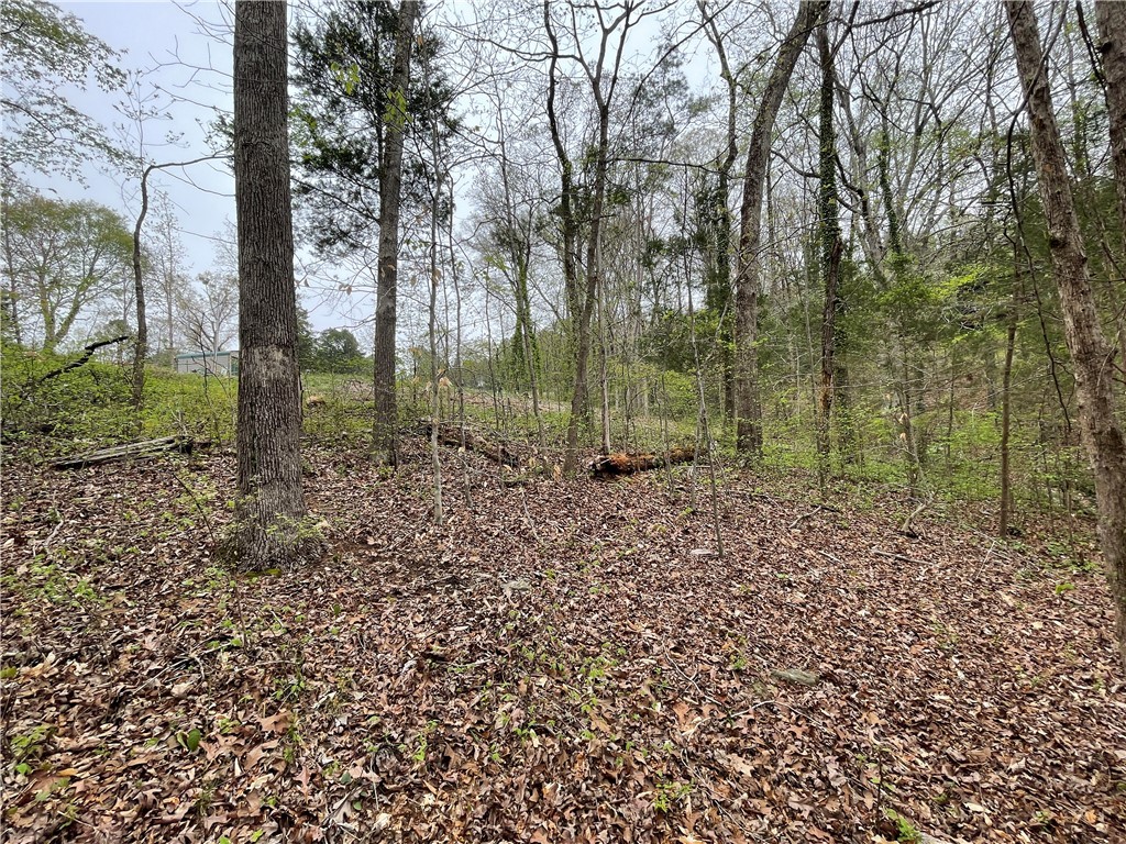 122 Balmoral Road Anderson, SC 29625 - Photo 11 of 18 view from shoreline looking to road
