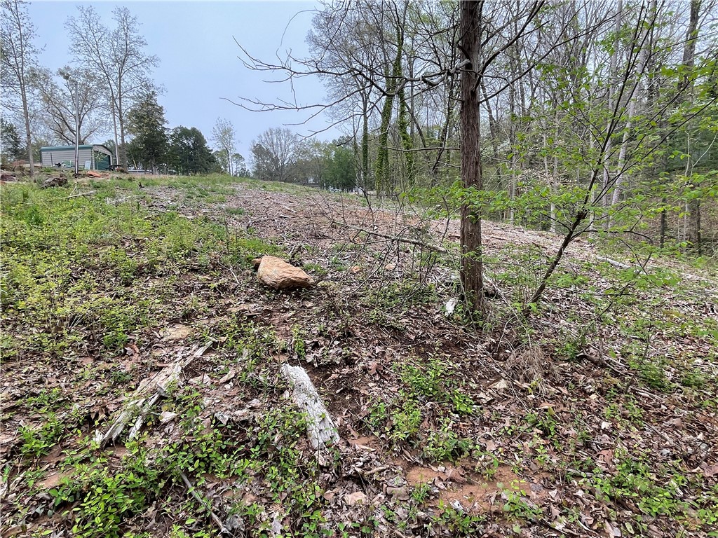 122 Balmoral Road Anderson, SC 29625 - Photo 12 of 18 View from Corps line toward road