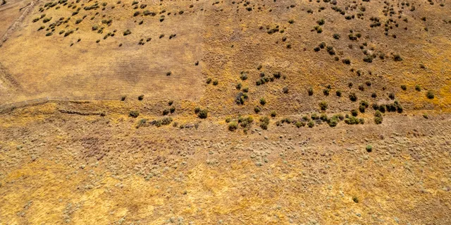 a bathroom with a shower curtain