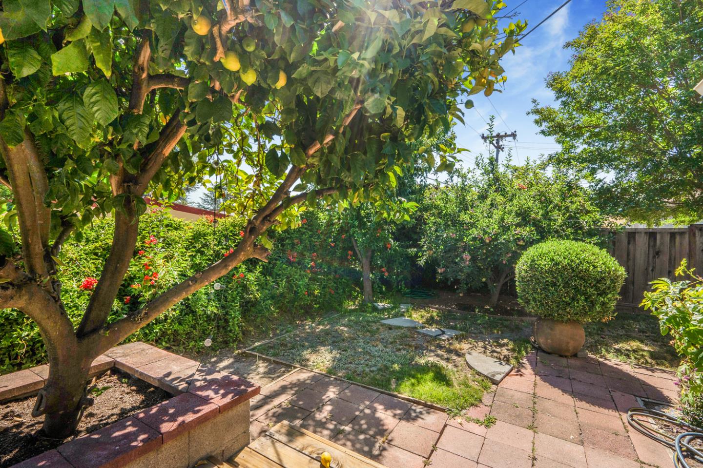 2486 Whitney Drive Mountain View, CA 94043 - Photo 22 of 43 a backyard of a house with lots of green space