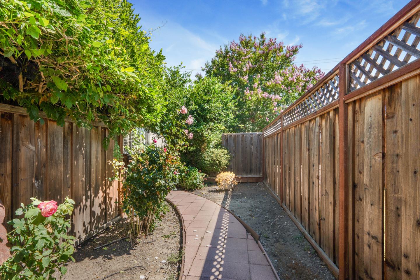 2486 Whitney Drive Mountain View, CA 94043 - Photo 25 of 43 a backyard of a house with lots of green space