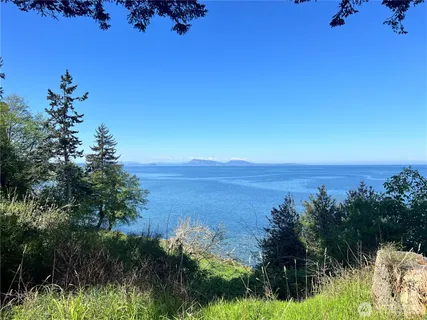 a view of an ocean from a yard