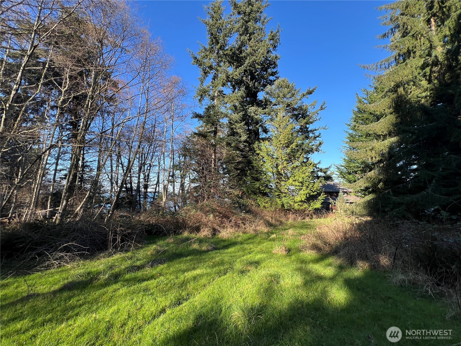 351 Sunset Avenue Orcas Island, WA 98245 - Photo 6 of 21