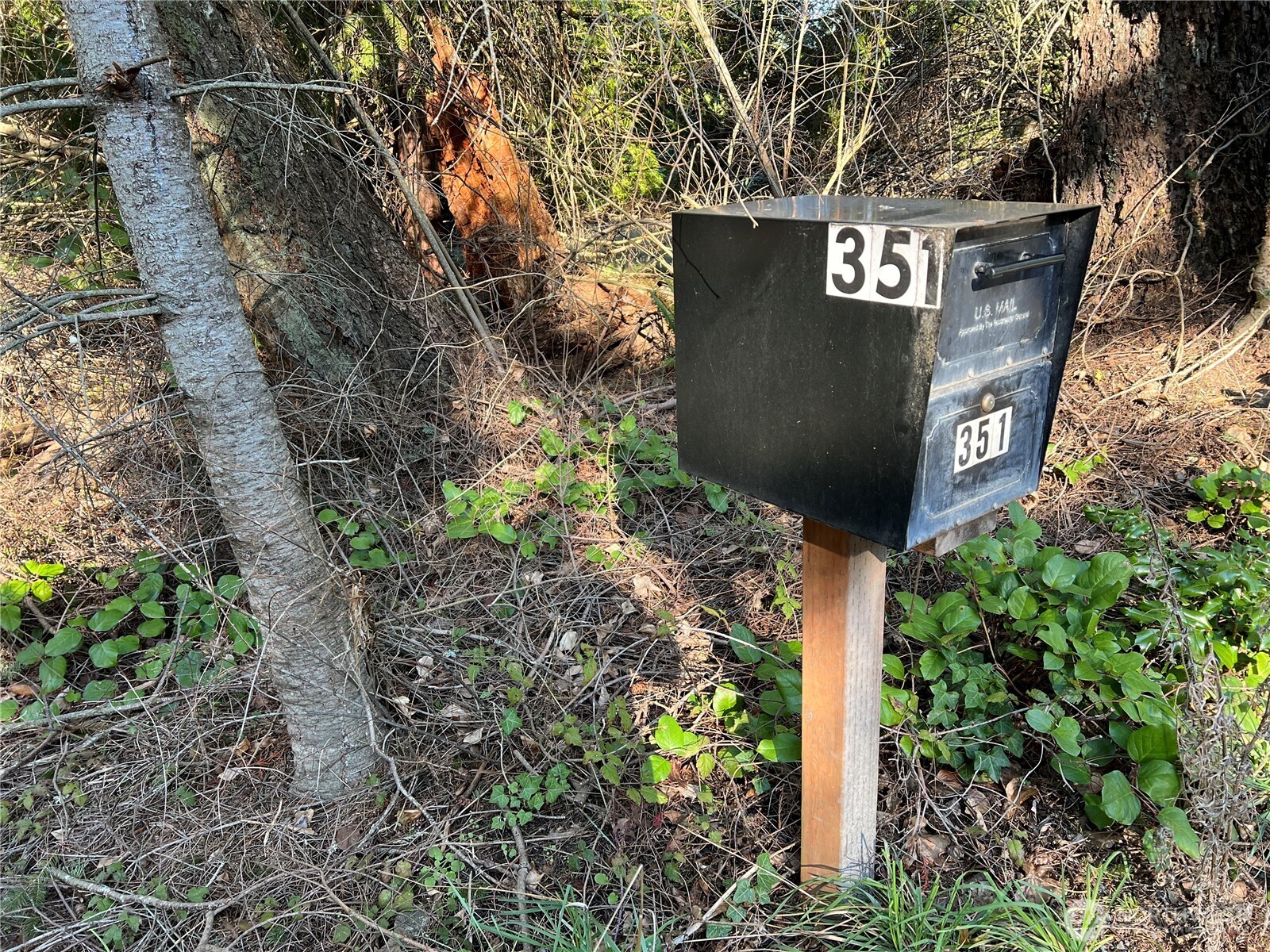 351 Sunset Avenue Orcas Island, WA 98245 - Photo 8 of 21