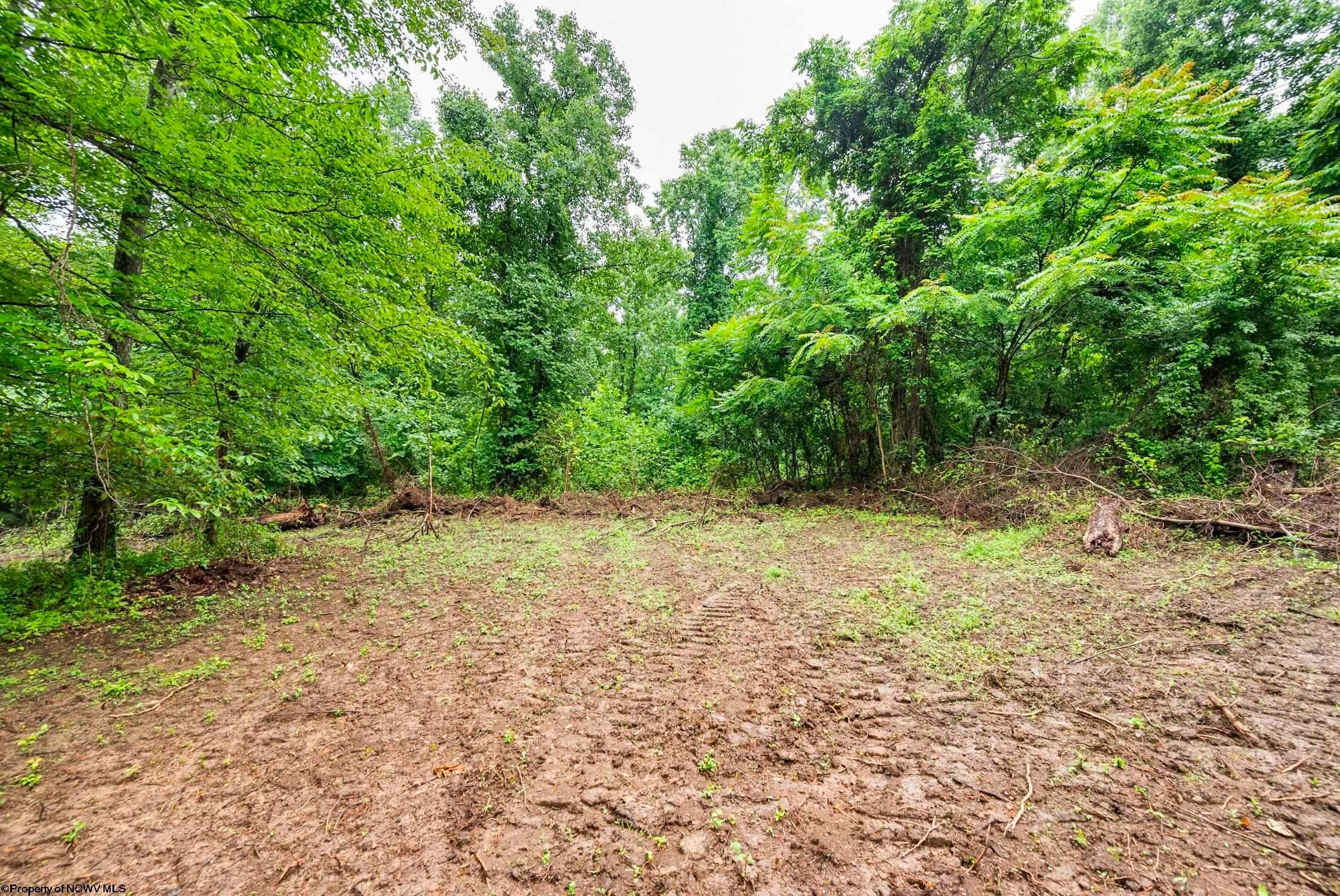 Lot 7 Burnt Cabin Road Fairmont, WV 26554 - Photo 2 of 16 Gallery Image 2